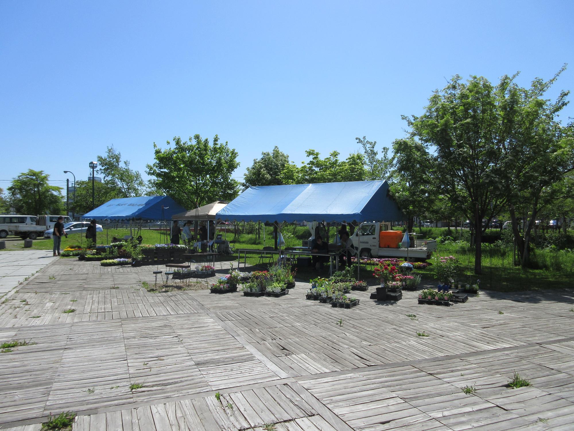 （イメージ）花と苗木のマーケット