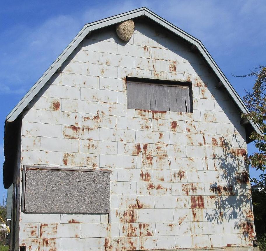 大きくなったスズメバチの巣
