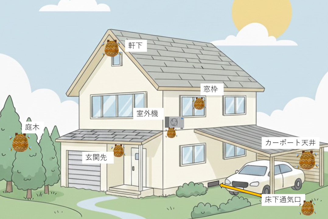 ハチの巣が作られやすい場所を現した絵