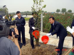訪問を記念して海棠を植樹した岩見沢市長の写真