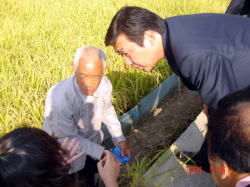 張氏から稲の生育状況を聞いている岩見沢市長の写真。