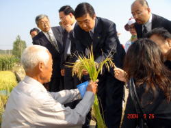 張氏が持っている稲の稲穂を手に取って確かめている岩見沢市長の写真