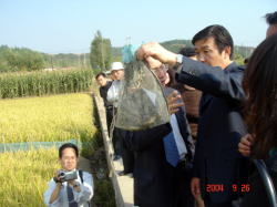 水田内で飼育されている蟹が入っている袋を手に持ってみている岩見沢市長の写真