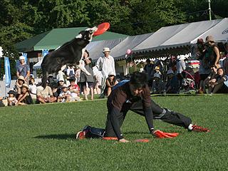 芝生の上を大ジャンプするフリスビードッグと飼い主の写真