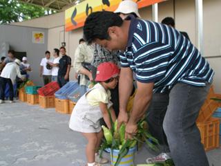 野菜の直売所でとうもろこしを選んでいる様子の親子の写真