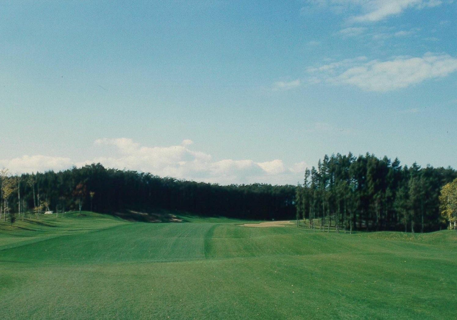 青空の下に緑豊かな木々が見えるエムズゴルフクラブのコースの写真