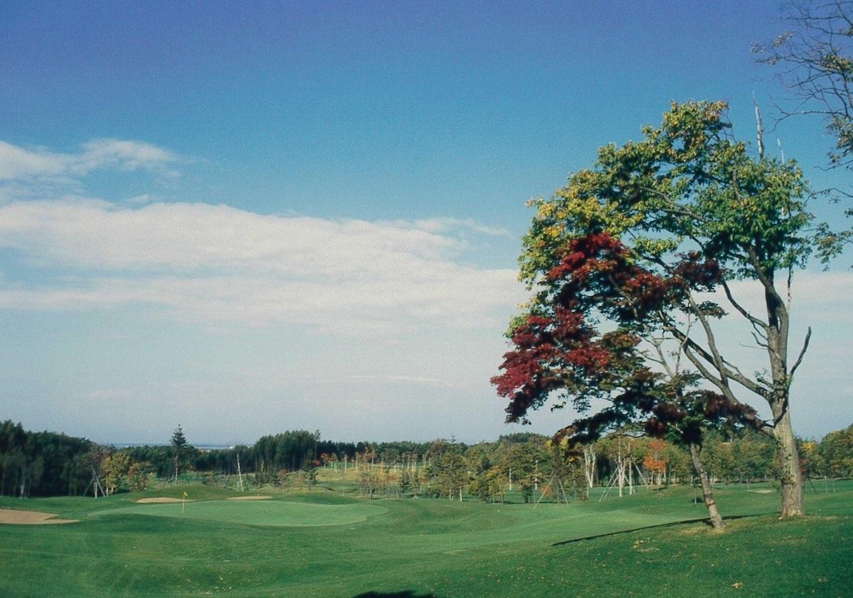青空の下に大きな木々ときれいに整備されたグリーンが広がるエムズゴルフクラブのコースの写真