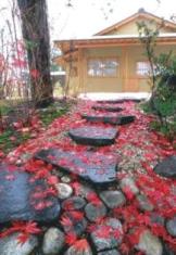 赤い紅葉が散策路に落ち葉として色付けている玉泉館跡地公園の写真