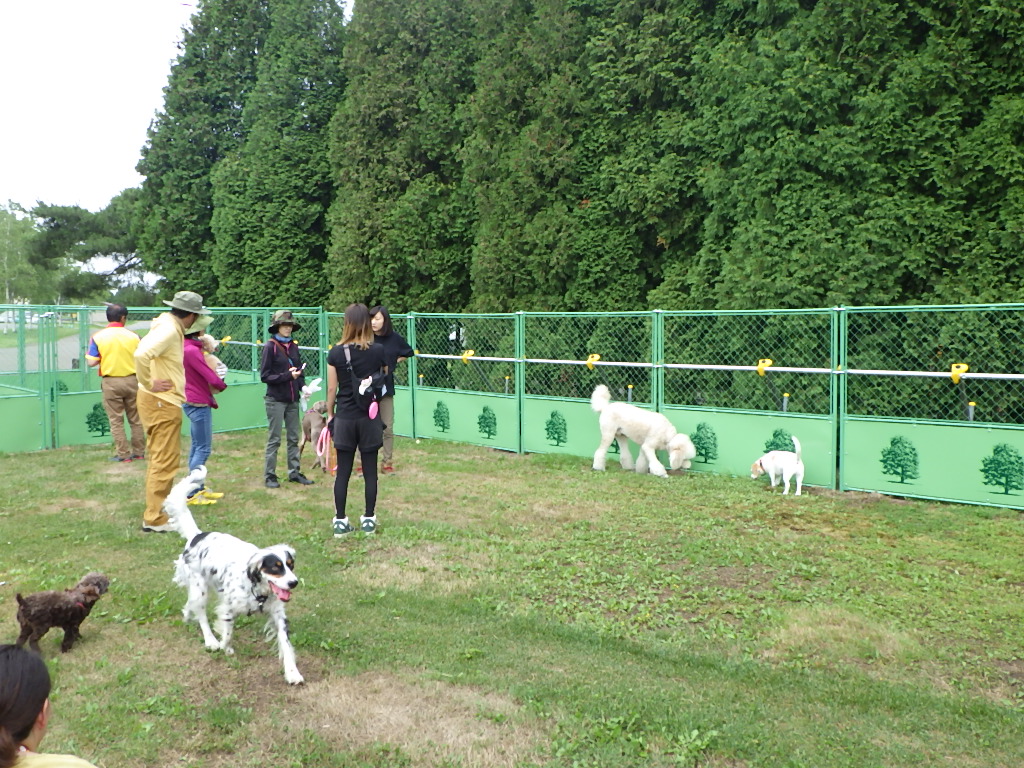 ドッグランで犬と飼い主たちが楽しんでいる様子の写真