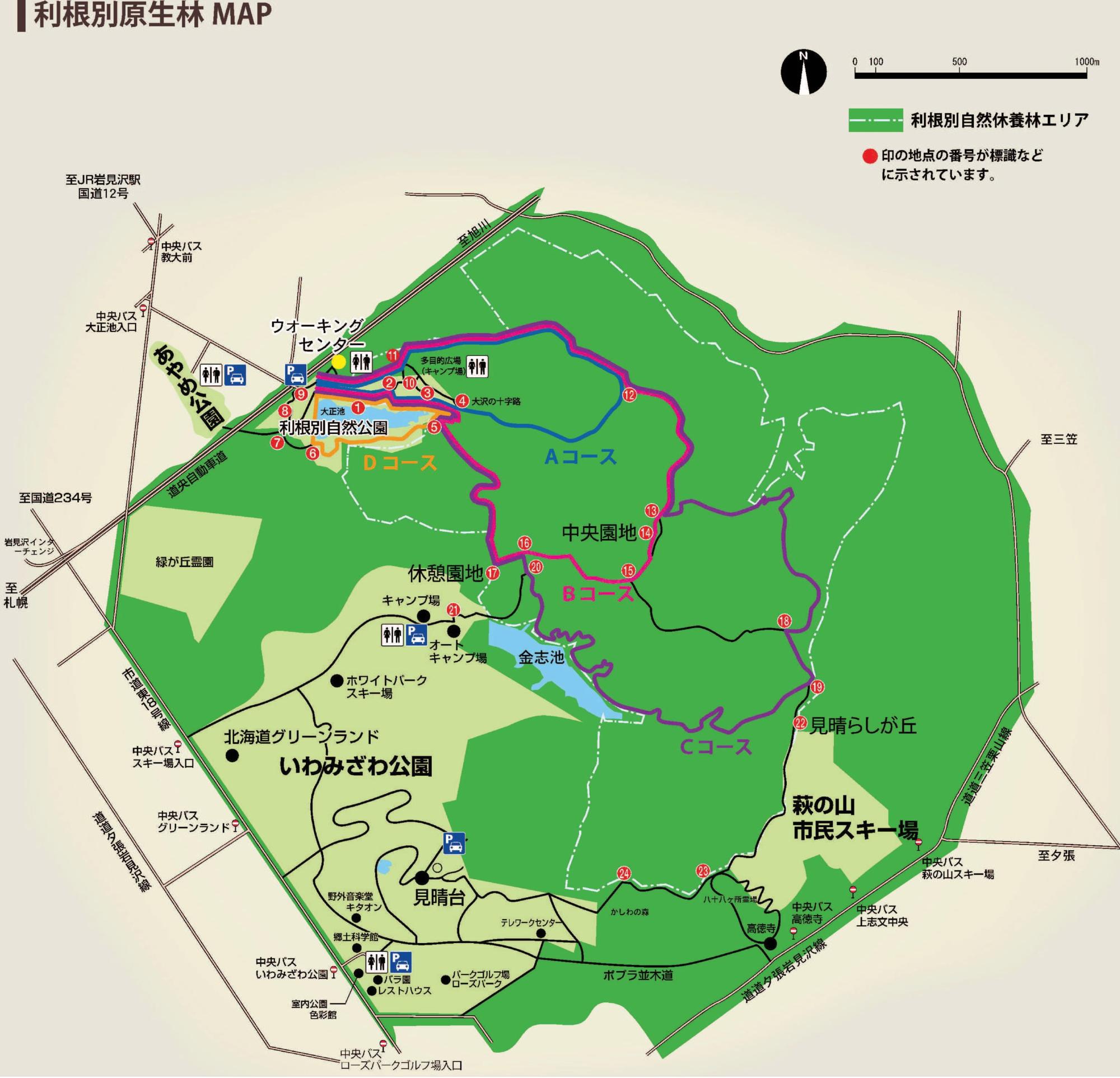 大正池と周辺の利根別自然公園の散策路の経路が示されたマップ