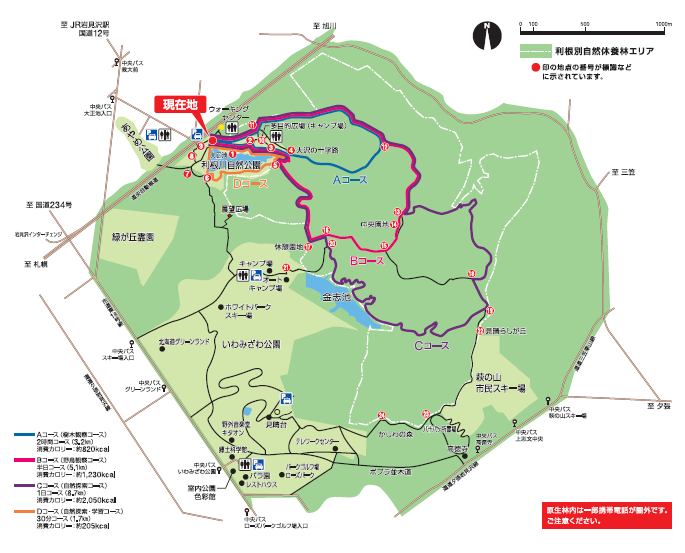 大正池と周辺の利根別自然公園の散策路の経路が示されたマップ