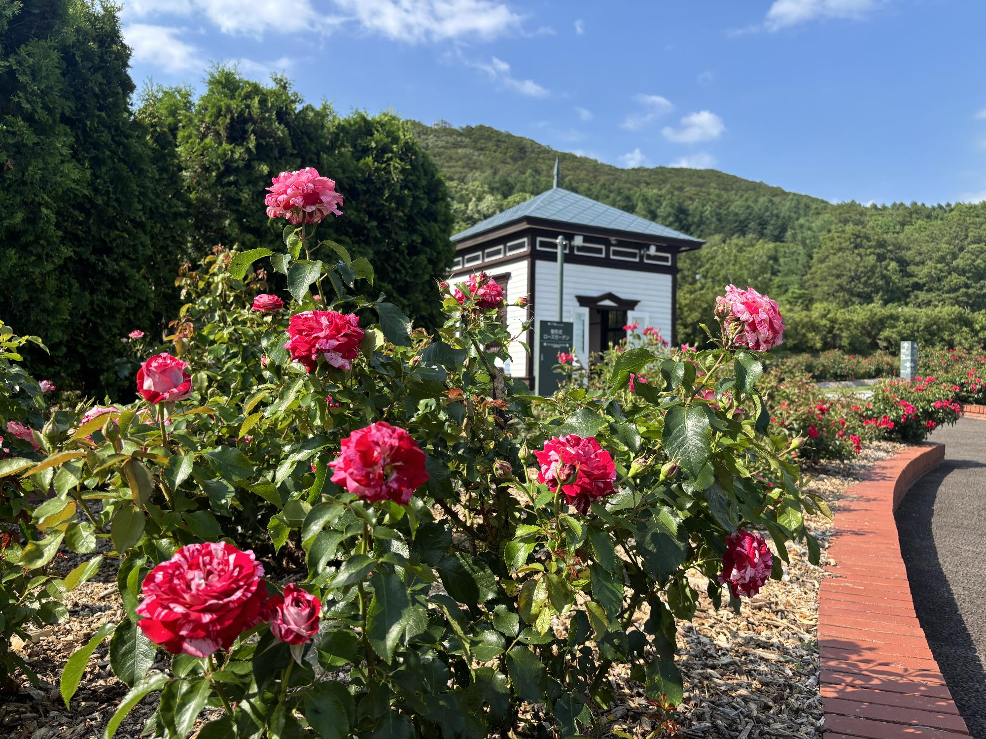 メインガーデンの写真