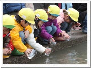 黄色い帽子を被った子どもたちがプラスチックのコップに入った稚魚を川に放流している写真