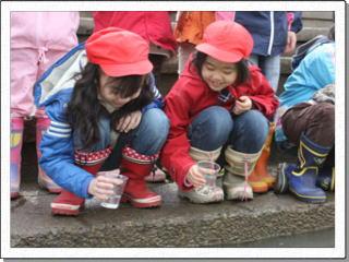 赤い帽子を被って稚魚の入ったコップを持って笑顔でしゃがみながら放流した稚魚を眺めている2人の女の子の写真