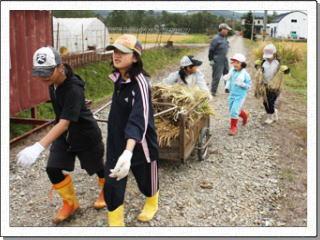 刈った稲を台車に乗せて、引っ張りながら運んでいる子供たちの写真