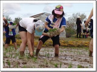 1つの桶に入った苗を一緒に植えている2人の女子児童の写真