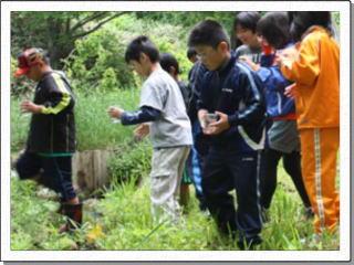 コップを手に持った児童たちが草むらを歩いている様子の写真