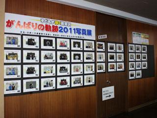 市役所の2階廊下の壁いっぱいに写真が掲示されている様子の写真