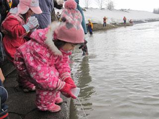 ピンク色の洋服を着た小さな女の子が、プラスチックのコップに入った稚魚を放流しながら川を覗き込んでいる写真