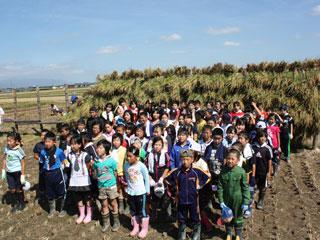 刈り取った大量の稲を前に、整列して記念撮影をする生徒たちの写真