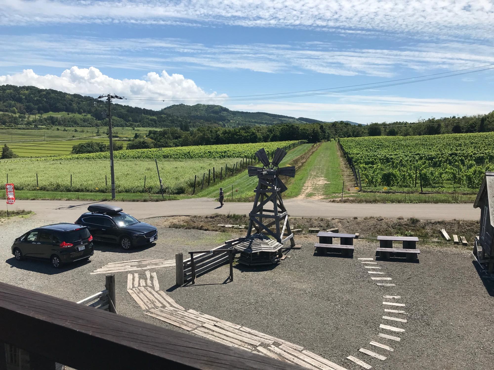 手前に駐車場があり、奥にブドウ畑が広がる宝水ワイナリー建物からの写真