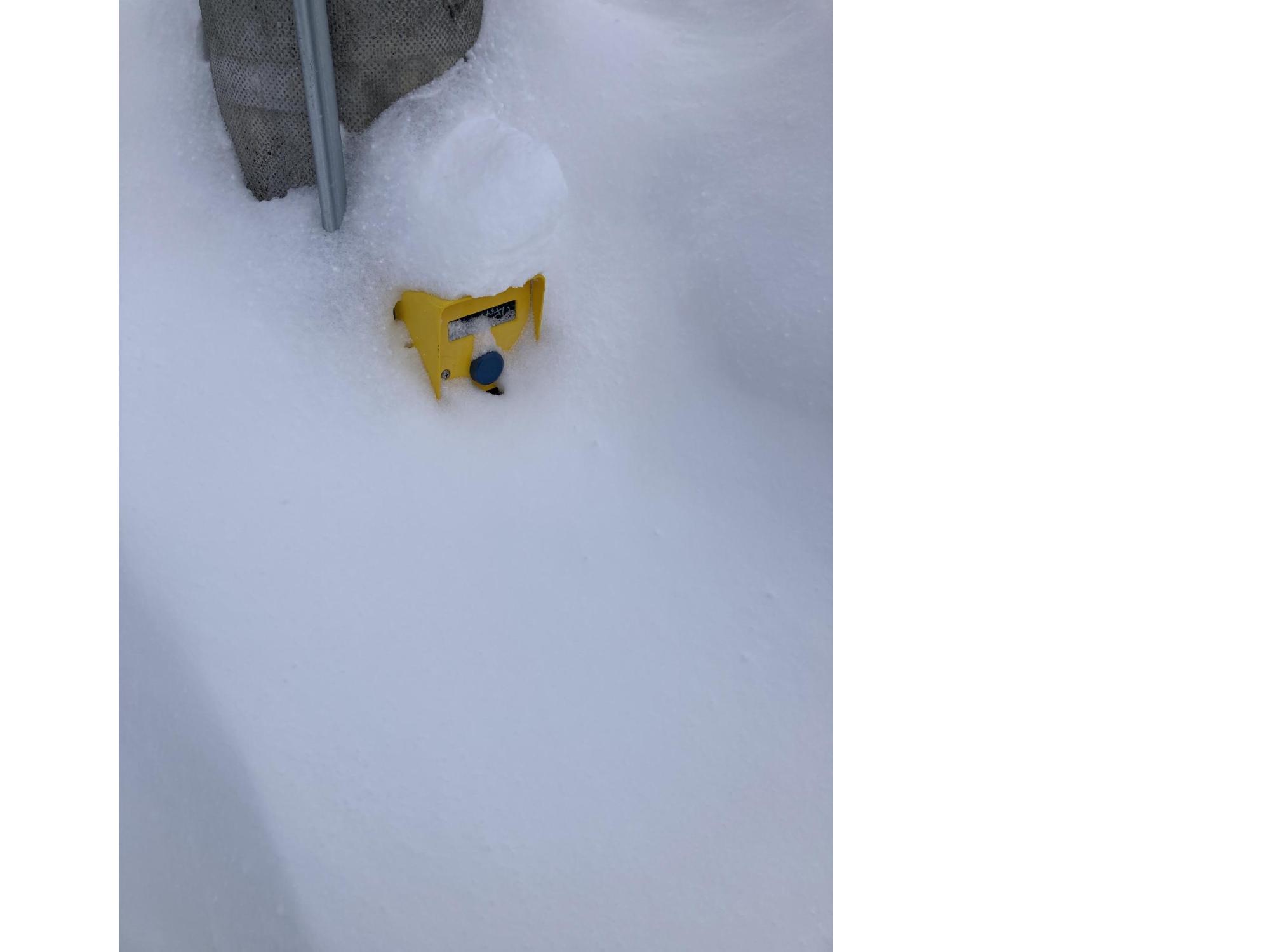 半分以上雪に埋まった信号の押しボタンの写真