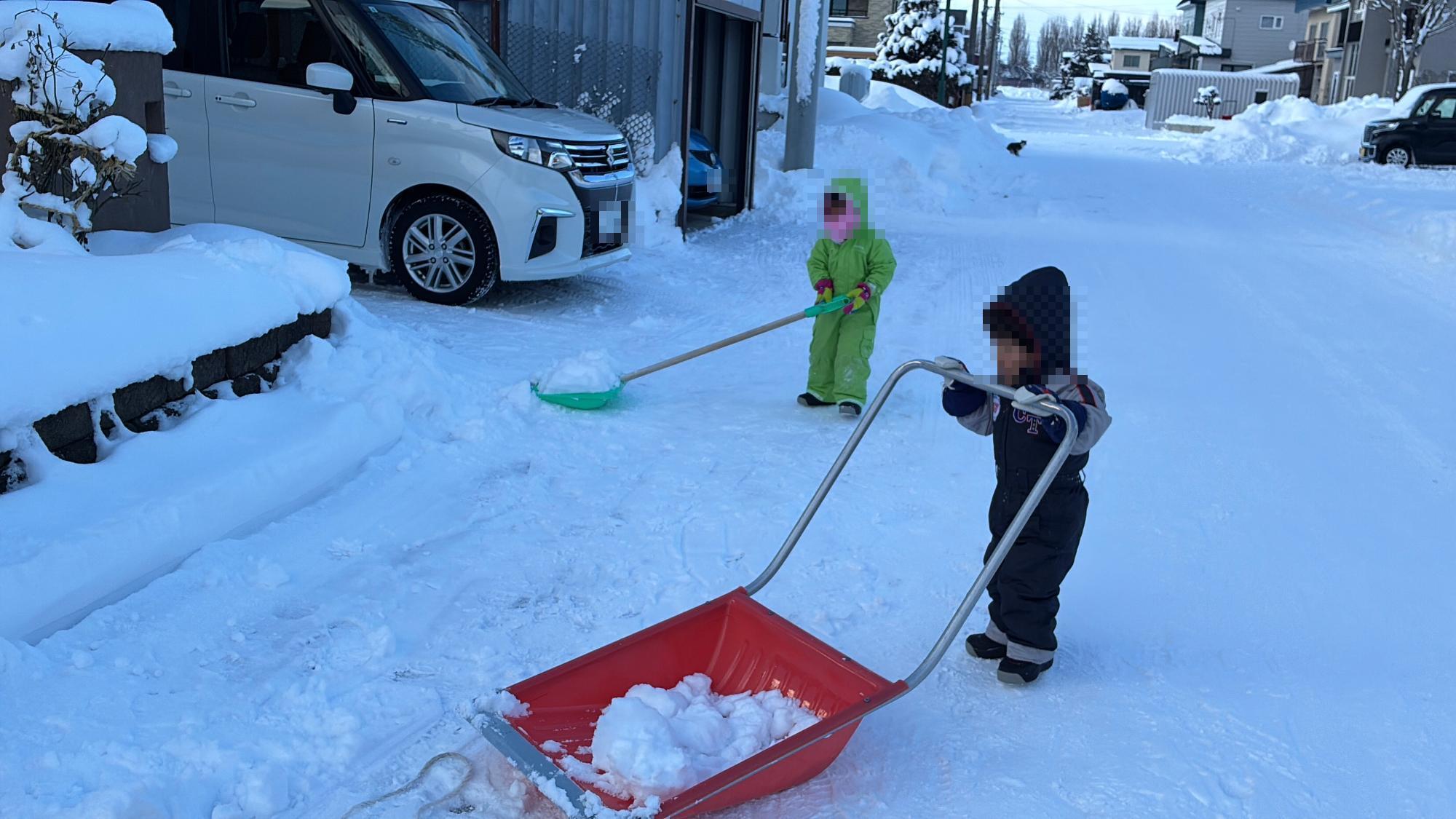 雪かき体験の様子
