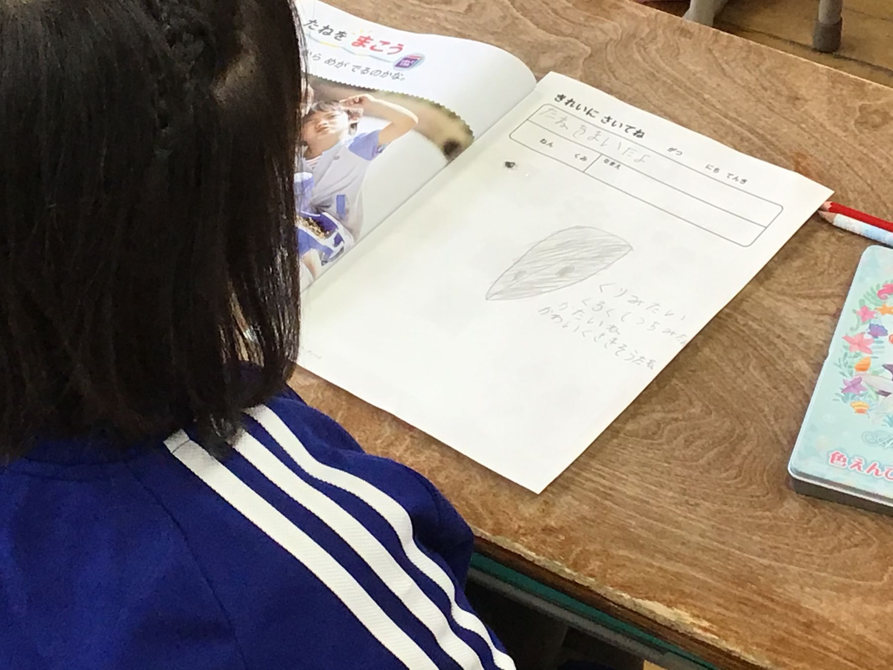 教室の机に向かい、ノートに書いた朝顔の種の絵を見ている女の子の写真