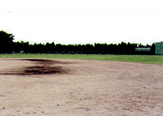 みずほ公園野球場の写真